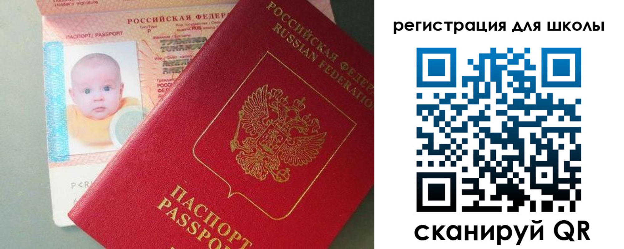 временная регистрация надежно в Амурской области